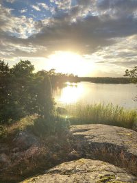 Finde Dich selbst – Walk & Coach